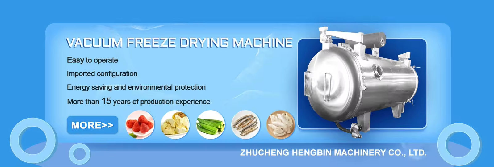 Vacuum Freeze Drying Machine