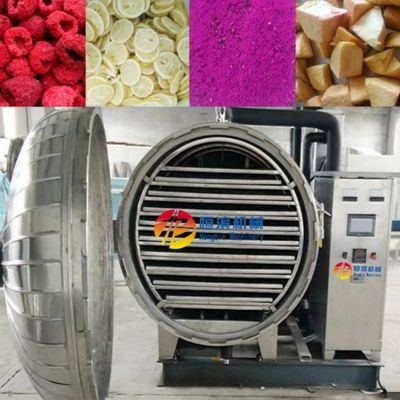 10kg Per Batch Vacuum Freeze Dryer for Large Scale Fruit and Vegetable Processing