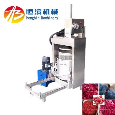 High Productivity Easy Operate Hydraulic Juicer for Orange Lemon Apple Banana Pear