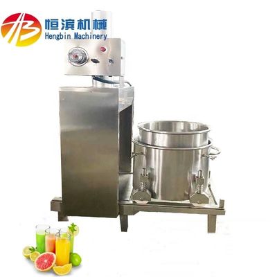 Mango Pineapple Tomato Blueberry Juicer with 15%-20% Higher Yield and Extraction Rate