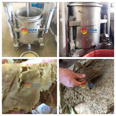 Mango Pineapple Tomato Blueberry Juicer with 15%-20% Higher Yield and Extraction Rate