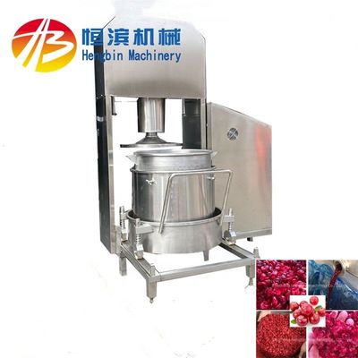 Mango Pineapple Tomato Blueberry Juicer with 15%-20% Higher Yield and Extraction Rate