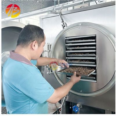 Food Fruit Vegetable Vacuum Drying Machine with Pre-freezing Temperature -18C -60 C