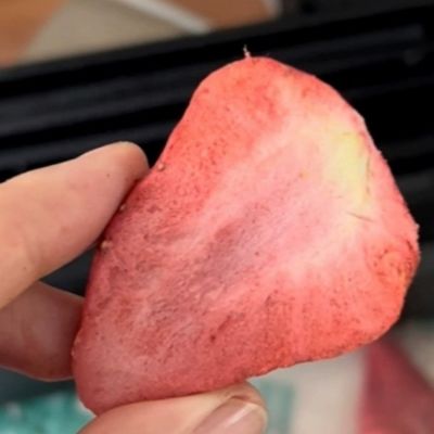 Food Fruit Vegetable Vacuum Drying Machine with Pre-freezing Temperature -18C -60 C