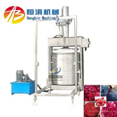 Mango Pineapple Tomato Blueberry Juicer with 15%-20% Higher Yield and Extraction Rate