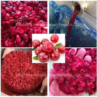 200L Automatic Hydraulic Power Press Juicer for Grape Wine Herb Fruit Processing