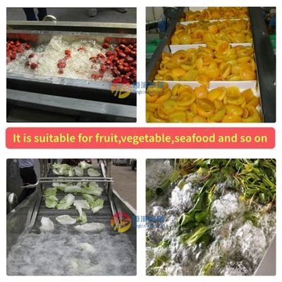 Water-saving Advantage Fruit and Vegetable Bubble Washer for Large-scale Production