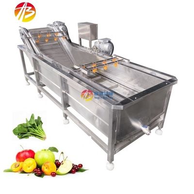 1000kg/h Capacity Bubble Washing Machine for Industrial Cleaning of Fruit Surface
