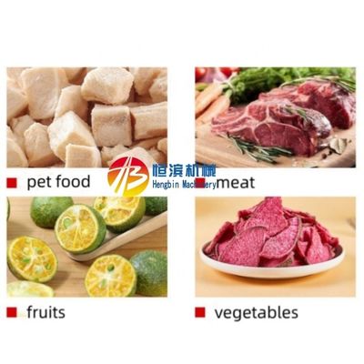 21 Square Meters Pallet Area Freeze Drying Machine for Seafood Fruit Meat and Vegetables