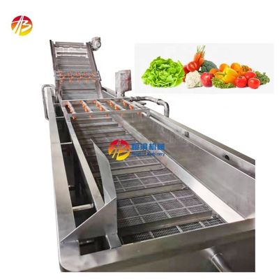 Industrial Food Vegetable Washing Machine with 600 KG Capacity and Air Bubble System