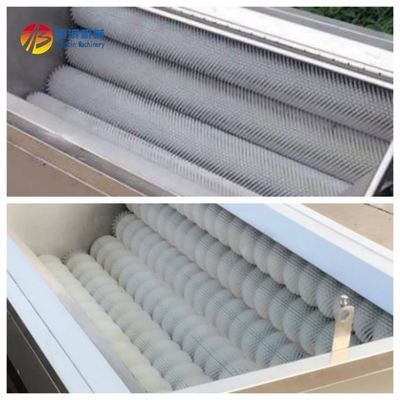 Customizable Taro Potato Onion Peeler and Washer Machine for Customer Requirements