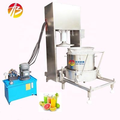 Vegetable Fruit Juice Squeezing Machine for Food Beverage Hydraulic Grape Press Juicer