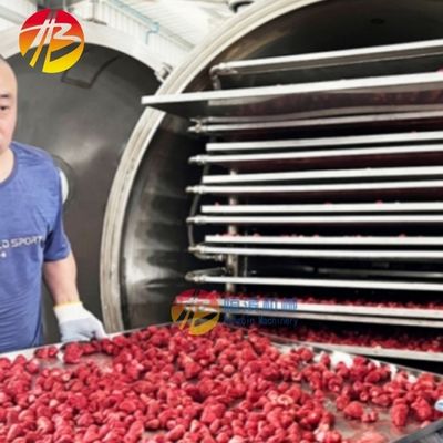 High Productivity 200kg per batch Honey Freeze Dryer Machine with Easy Operation