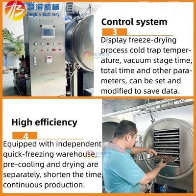 High Productivity 200kg per batch Honey Freeze Dryer Machine with Easy Operation